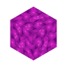 bubble_coral_block