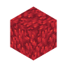 fire_coral_block