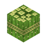 cactus_block