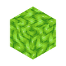 star_coral_block
